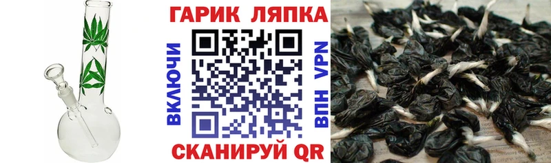 ГАШ Изолятор  Тимашёвск 