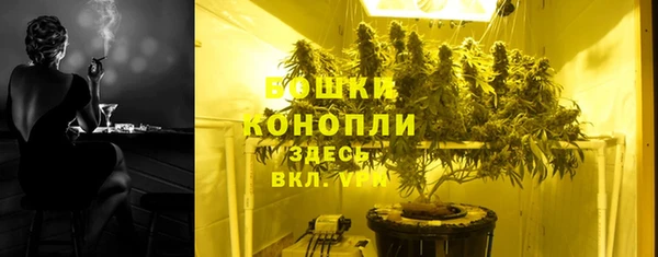 сатива Надым