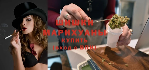 сатива Надым