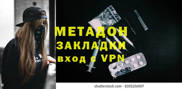 сатива Надым