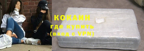 сатива Надым