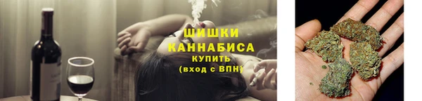сатива Надым
