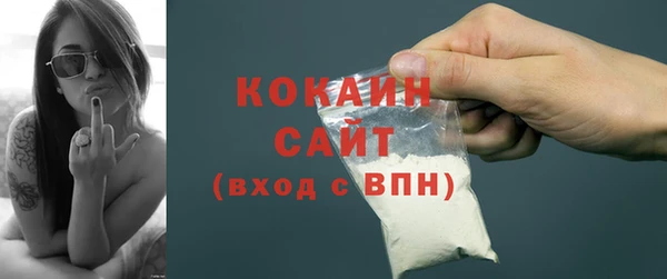 сатива Надым