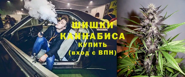 ПСИЛОЦИБИНОВЫЕ ГРИБЫ Наволоки