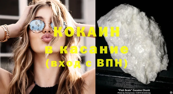 сатива Надым
