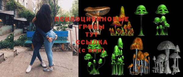сатива Надым