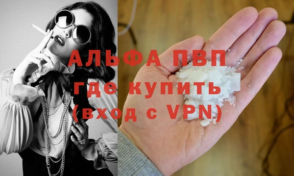 сатива Надым