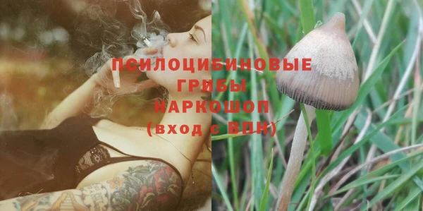 ПСИЛОЦИБИНОВЫЕ ГРИБЫ Наволоки