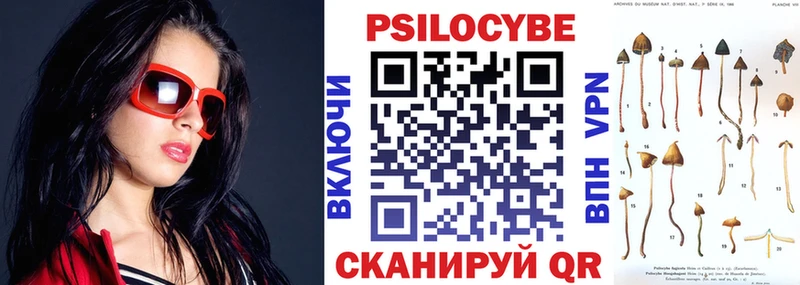 где купить наркотик  дарк нет Telegram  Псилоцибиновые грибы GOLDEN TEACHER  Тимашёвск 